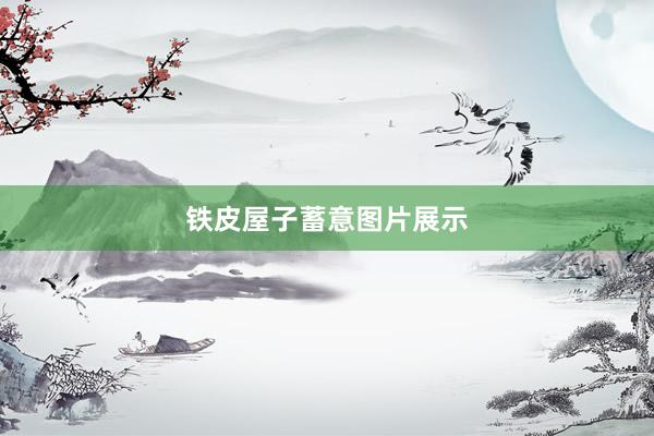 铁皮屋子蓄意图片展示