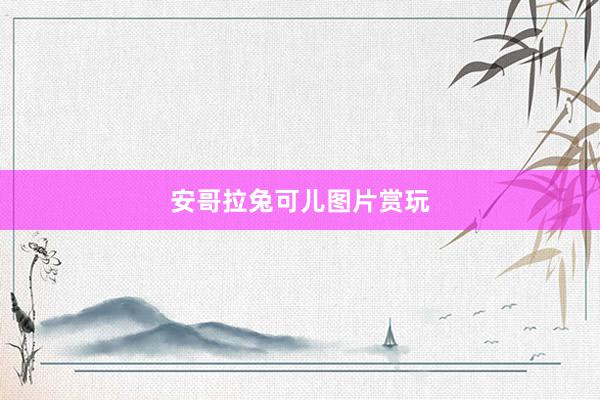 安哥拉兔可儿图片赏玩